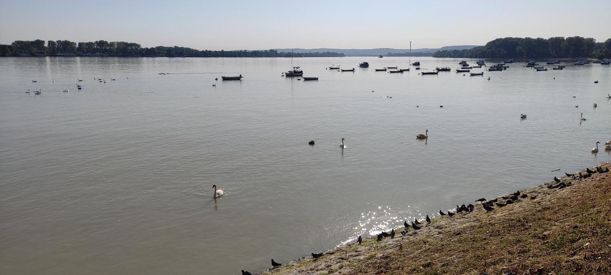 River Hostel Beograd Ngoại thất bức ảnh