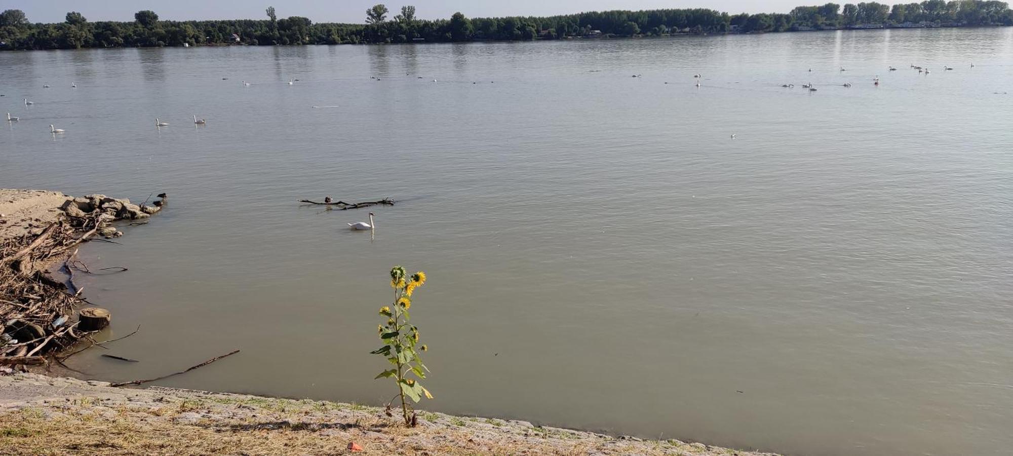 River Hostel Beograd Ngoại thất bức ảnh